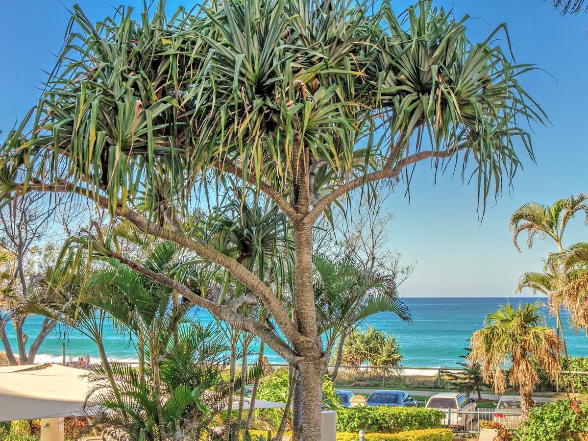 Aparthotel Oceana On Broadbeach Exteriér fotografie